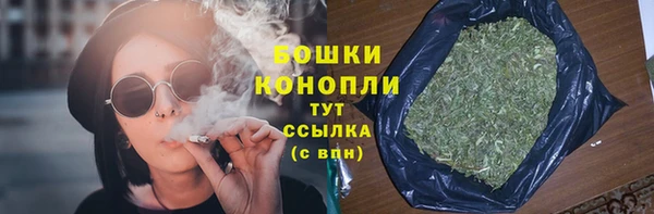 сатива Волоколамск