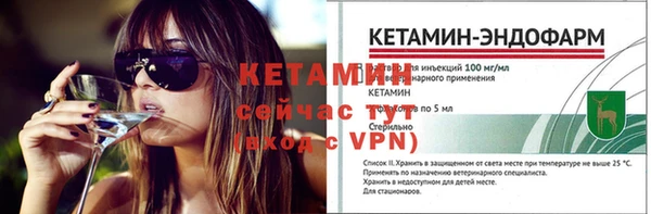 сатива Волоколамск