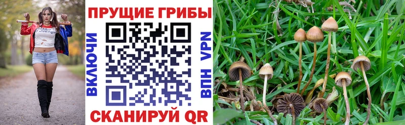 кракен tor  Духовщина  Галлюциногенные грибы ЛСД  где продают  